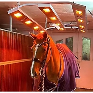 EquiBeNe S12 – Effektiv täckning och högre kapacitet