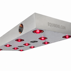 EquiBeNe S11 – Kompakt och prisvärt solarium